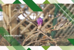 ����� � ���������� ���������� ��������� ���������