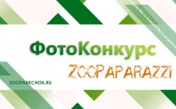 ����������� ������������