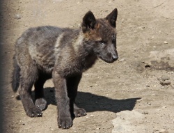 � �������� � ��������� ������ ��������� ������ ��������� ����� 