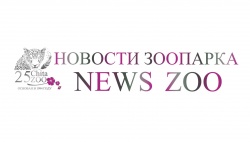 � ������������ ������� �������� �� ���� �����������.