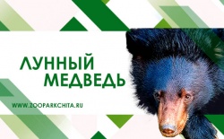 ������������� �������������� ������� ��������