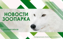 ������� ����������� ������� ���������� � ��������