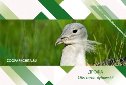 14  ������ 2018 �. ������ ��������� ���������� ���������������� �� �������������� ����