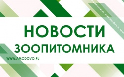 ����� �������� ����������� ���� ������������