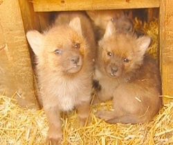 � �������� � ��������� ������� ������ ��������� �����