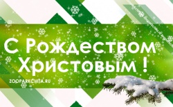 ���� �������� ������