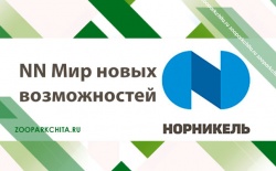 � ������ ����������� ������� ���� �����������  �� ������� "�������� ���������� "