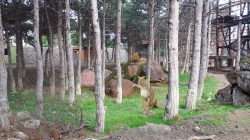 ���������� � ���������� ������������ ���������� 