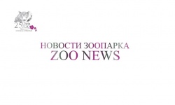 ����� ��������� ��������!