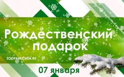 ���� �������� ������  