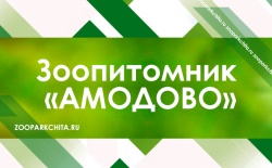 � ����������� 25 ������ ������� ��� ��������� ��������