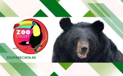 ����������� ������� � ������� �������� �����  ���������