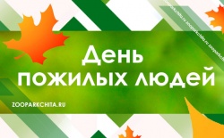 ���� ������� ����� 