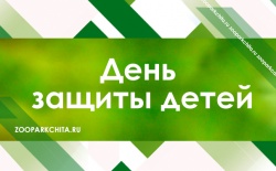 ���� ������ �����