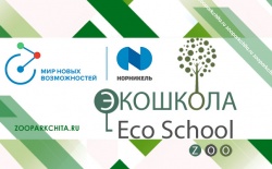 �������� ��������